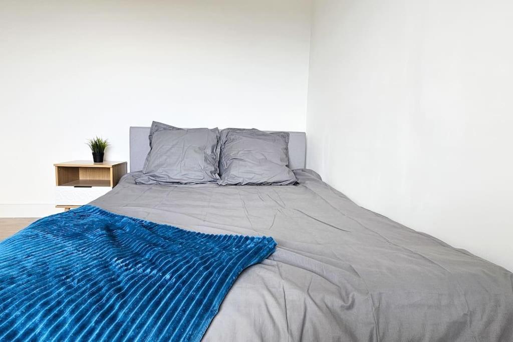 Appartement C'Est Chez Maurice! 4 Ch Wifi Balcon Parking Free à Saint-Etienne  Extérieur photo